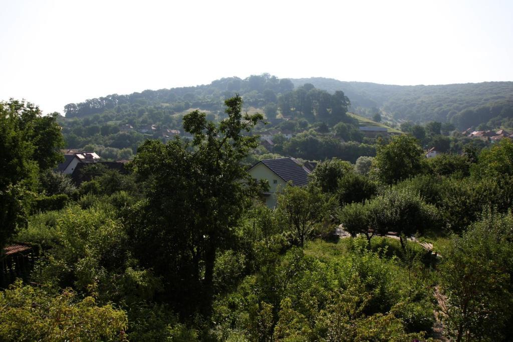 Pensiunea Sighisoara Bagian luar foto